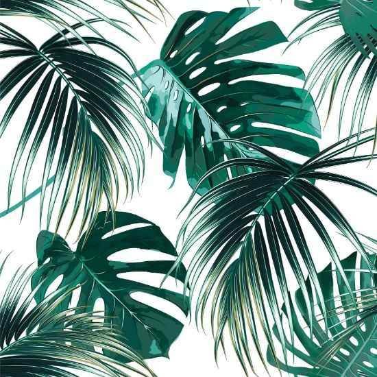 Copacabana-CB103482 green tropical palm leaves wallpaper roll swatch details