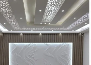 whatsapp image 2025 11 25 at 1.01.27 pm